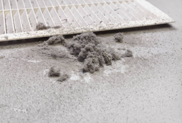 Best Emergency Air Duct Cleaning  in Park Falls, WI