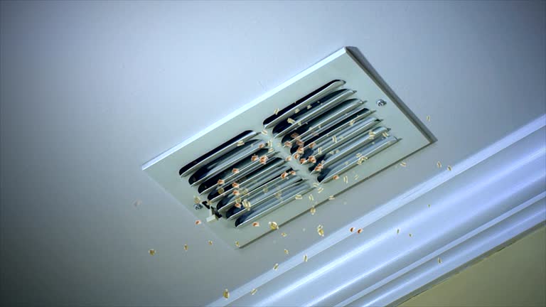 Best Best Air Duct Cleaning Company  in Park Falls, WI