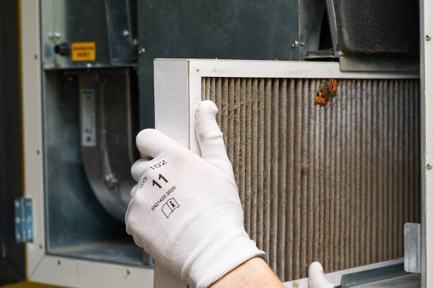 Best Ventilation Cleaning Services  in Park Falls, WI