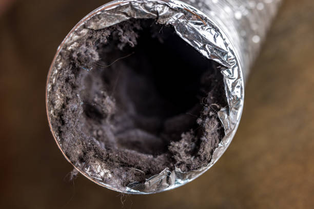 Best Ductwork Cleaning Services  in Park Falls, WI