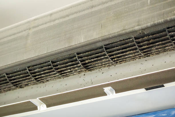 Best Air Duct Cleaning Near Me in Park Falls, WI